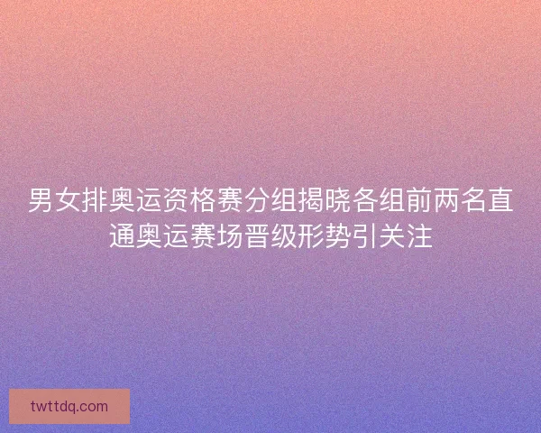 男女排奥运资格赛分组揭晓各组前两名直通奥运赛场晋级形势引关注